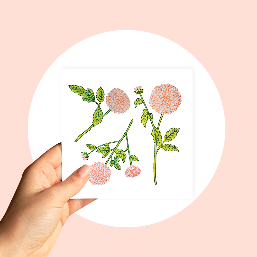 Dahlia Pencil Drawing Card by Ash White